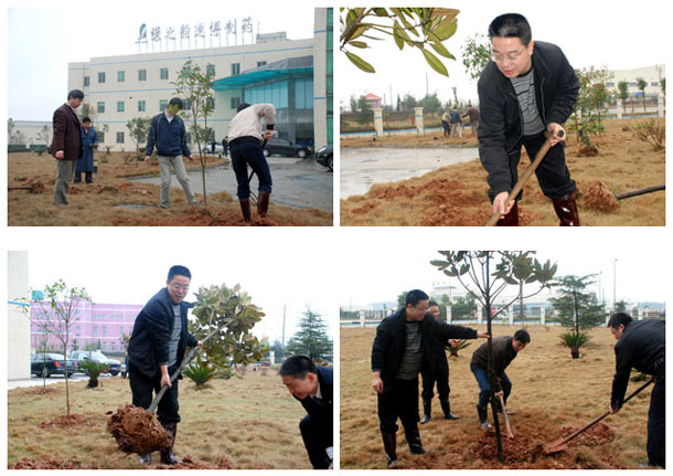 建设绿色园区 3．12植树忙