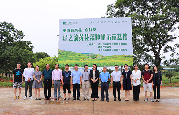 强强联手 助推产业升级｜绿之韵黄花菜种植示范基地项目签约仪式举行