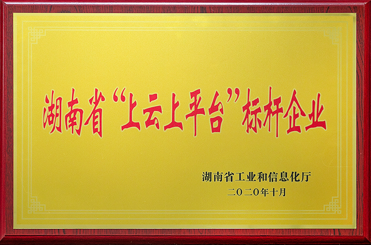 华体会体育(中国)hth·官方网站获评2020年湖南省“上云上平台”标杆企业