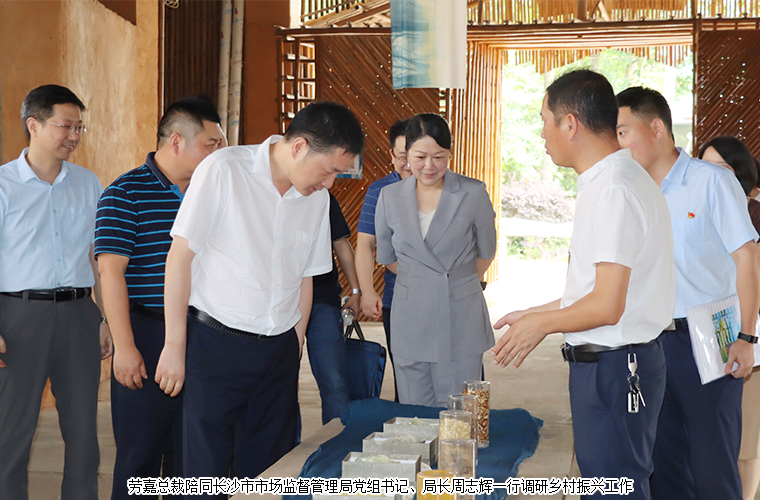 劳嘉总裁陪同长沙市市场监督管理局党组书记、局长周志辉一行调研乡村振兴工作